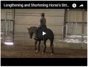 Lenghtening and Shortening of Strides