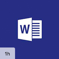 Word 2016 - Working with the Interface and Performing Basic Tasks