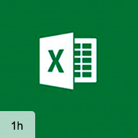 Excel 2016 - Essentials: Creating, Editing, and Saving Workbooks