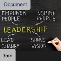 Executive Directors Guide: Leadership