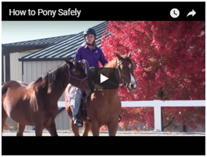 How to Pony a Horse
