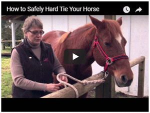 Hard Tying a Horse Safely