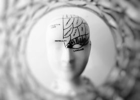 Increasing Your Brain’s Performance For Greater Leadership Success