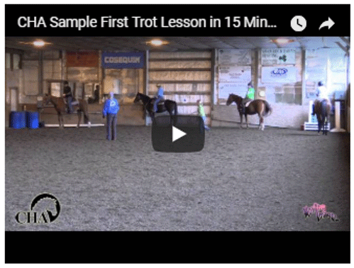 Sample 15 minute lesson First Trot #3