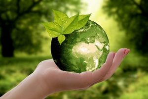 Advanced Course on Nonprofit Sustainability