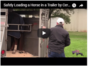 Loading a Horse Safely into a Trailer