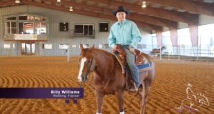Teaching Your Horse to Guide Part 2 – Billy Williams
