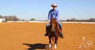 Backing Up – Fred Thomsson