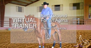 Best Ground for an Arena – Tom McCutcheon