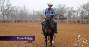 Versatility Ranch Horse – Mozaun McKibben