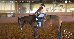 Rein Management – Debbie Brown