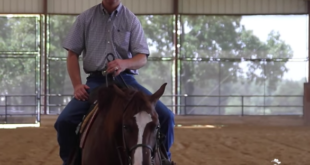How to Keep your Horse From Running Off in a Circle