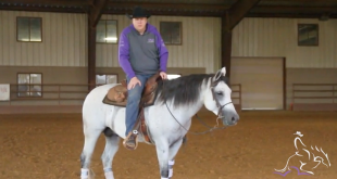 Circling Your Horse – Tom McCutcheon