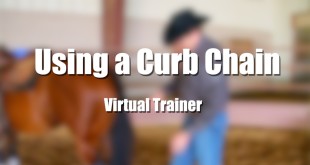 Using a Curb Chain – Tom McCutcheon
