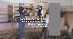 Familiarizing Your Horse with a Mounting Block – Barbara Williams