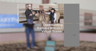 Dismounting – Barbara Williams