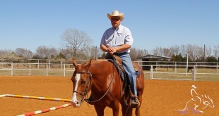 Trail Exercise – Will Knabenshue