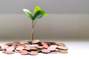 Economic Growth and Development - Inequality and Human Development